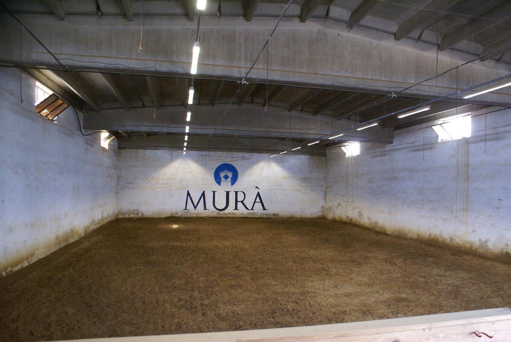 阿尔塔穆拉Agriturismo Mura别墅 外观 照片